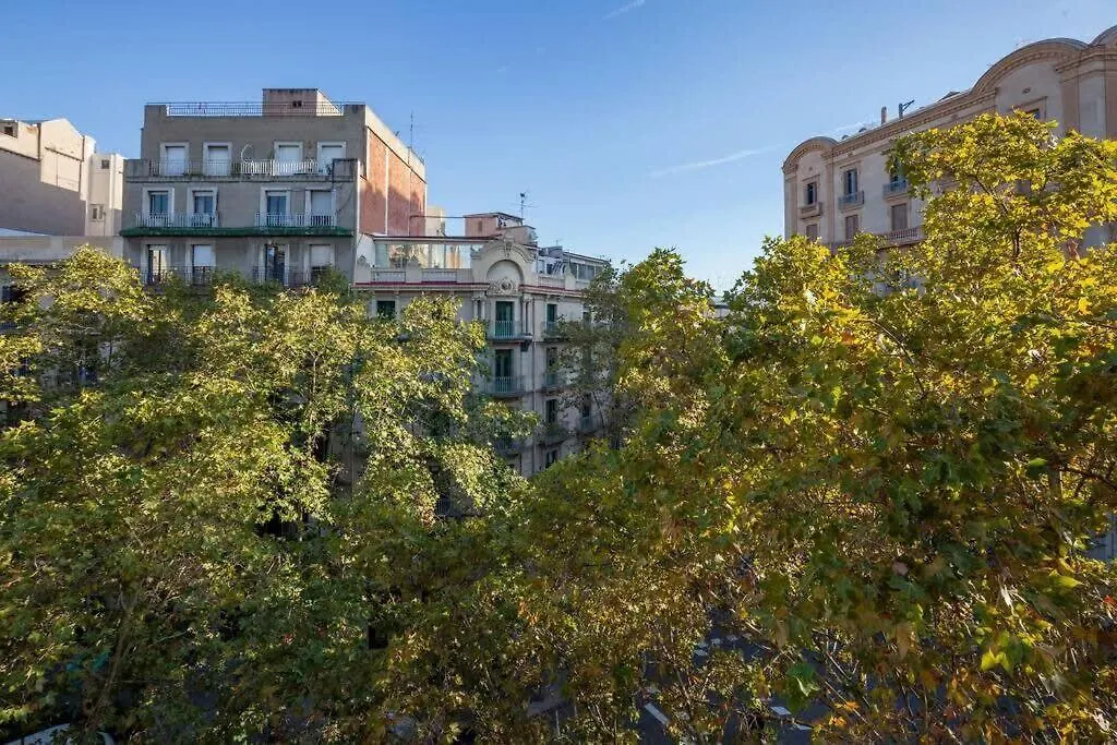 شقة Plaza Urquinaona Cozy And Comfortable برشلونة